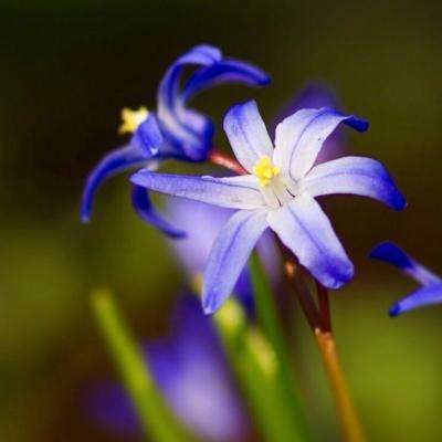 皇冠welcome娱乐登录入口