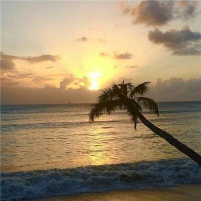 ob体育下载手机版