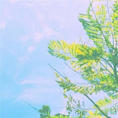 ng体育电子游戏手机app下载