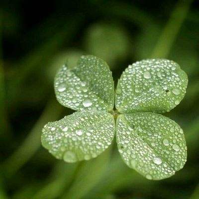 江南体育app在线下载