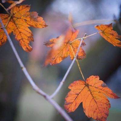 k1体育十年品牌值得信赖网址